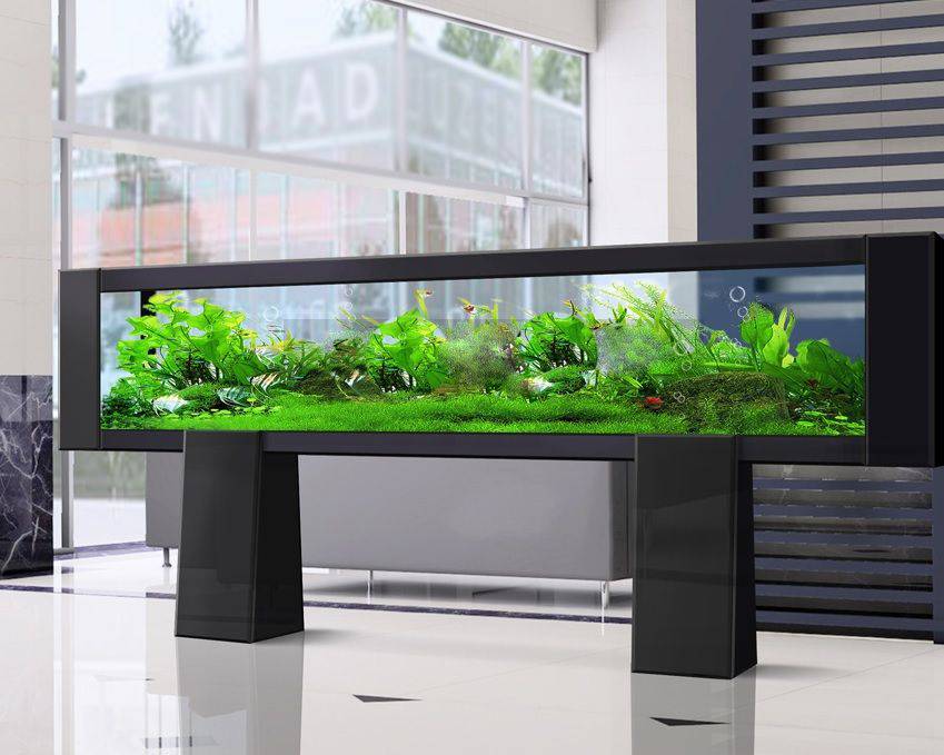 Aquarium Design​